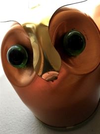 Whoooo Knows What You'll Find!...