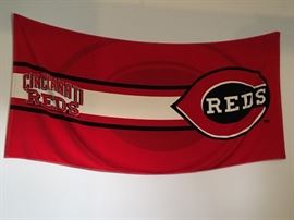 Reds Flag in the garage