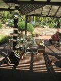 Loads of outdoor pots ,plants ,patio furniture