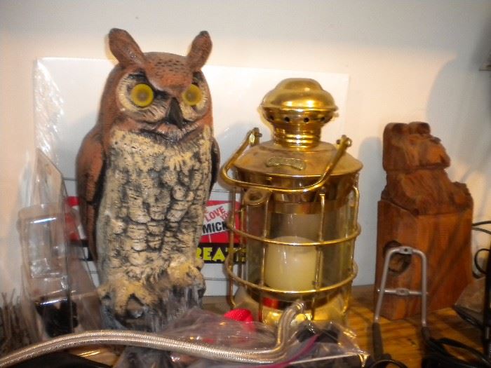 Owl, Lantern