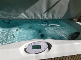 Jacuzzi J-355