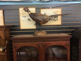 Hersey kile jr Tom taber pheasant. 