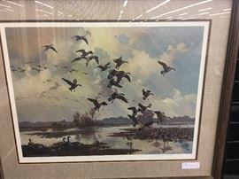 Collection of ducks unlimited signed vintage prints