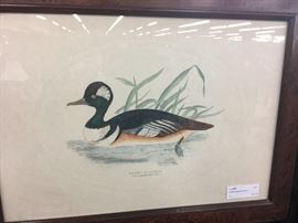 Collection of ducks unlimited signed vintage prints