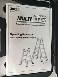 Werner multi ladder.