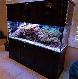 Fabulous Custom Saltwater Reef Aquarium-here is your chance to own this beauty at a fraction of its original price. Entertaining all offers-call now!!