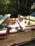 LOUIS GOSSETT JRS, 1986 ROLLS ROYCE CORNICHE 2,SUNDAY CAR..RUNS AMAZING 112K..