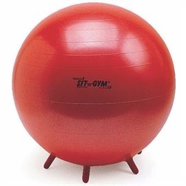 Sit n gym inflatable ball