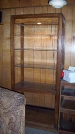 lighted display shelf