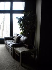 Leather sofa/couch and end table