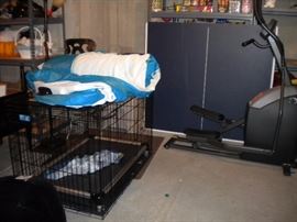 Dog Kennel, elliptical, ping pong table