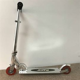 Razor Scooter that is collapsible and fits in the carrying bag