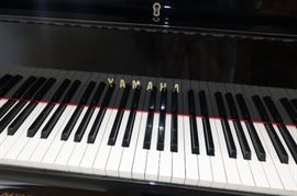 BEAUTIFUL BLACK LACQUER YAMAHA BABY GRAND PLAYER PIANO