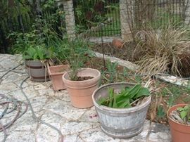 more garden pots - pots range from $2-20