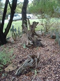 driftwood for your garden range of prices $15-30