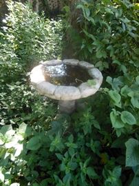 Bird bath