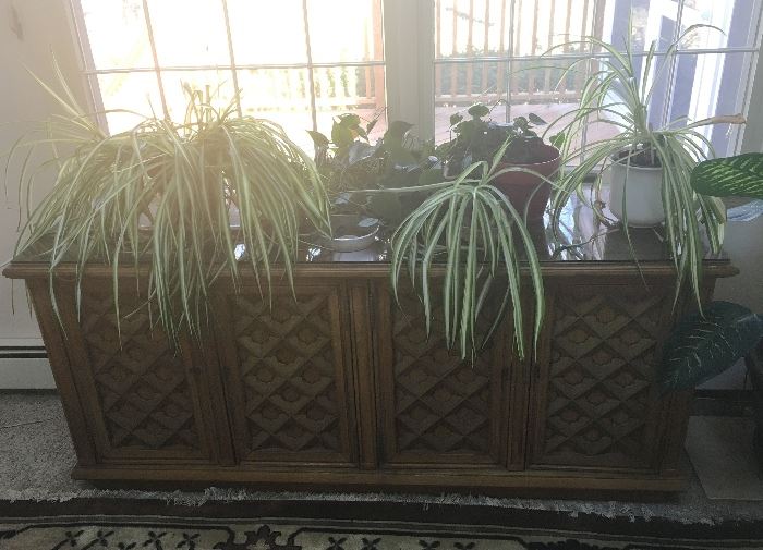Vintage credenza & lots of plants