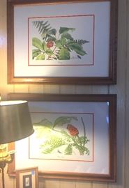 Pair of Sallie Middleton framed prints - signed & numbered & in very good condition.