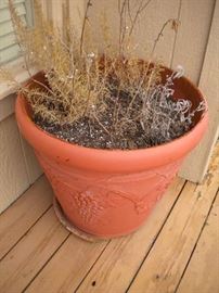 flower pot