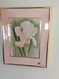 Original Watercolor - Bearded Iris
