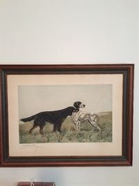 Dog Setter Print Framed by Leon Danchin