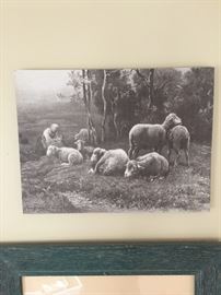 Sheep in Pasture print