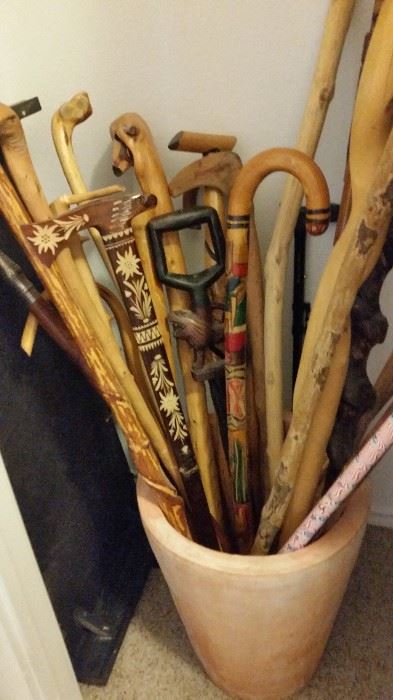 Lots of Cool Canes/Walking Sticks
