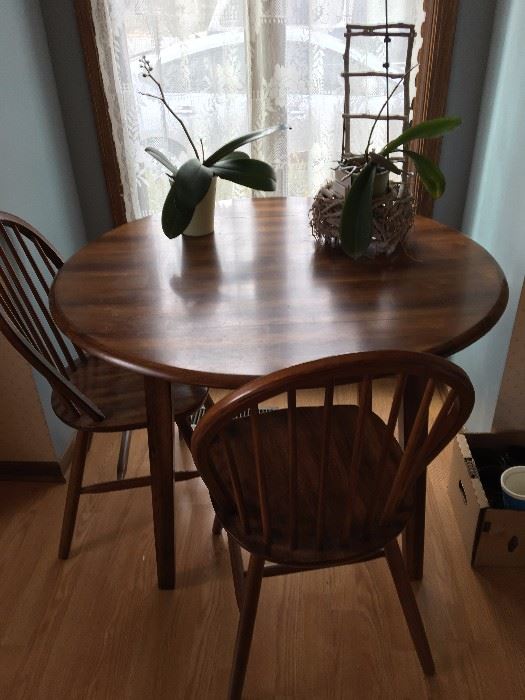 round kitchen table and 2 chairs, 2 plants