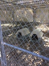 Some of the several dog houses