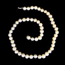 Pearl Necklace: A pearl necklace.