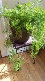 Large Fern Tiled Table