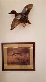 Stuffed/Mounted "Bird" - $50