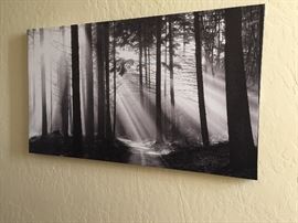 canvas wrap wall art