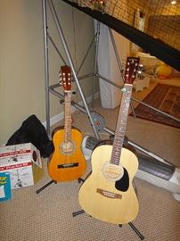 Guitars, J. Reynolds Model: JR12N, Indiana Dokota: IDA-N