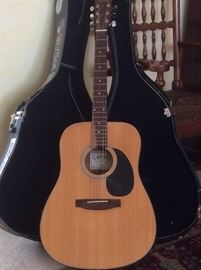Arbor acoustic guitar with case