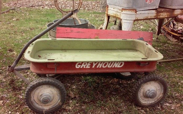 Greyhound Wagon