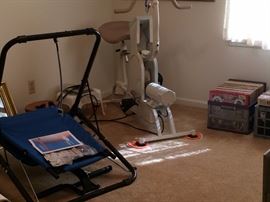 Theracycle, Ab Lounger, Vintage Records