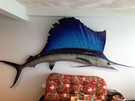Massive 103 inch Blue Marlin/Sailfish 2-Sided Taxidermy Mount in excellent condition.  Nearly 9 feet in length, caught in the Gulf Of Mexico in the 1970's