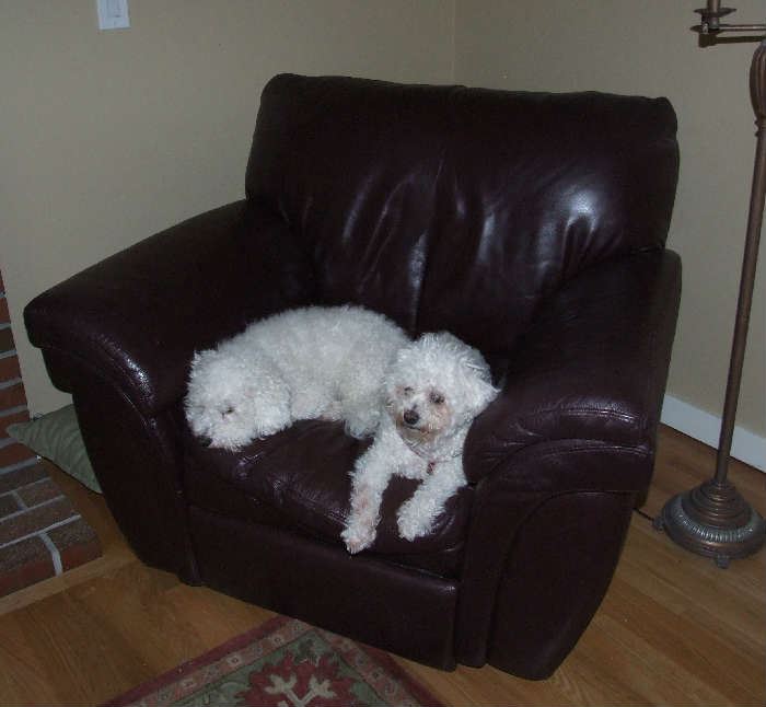 BURGANDY LEATHER RECLINER-OH SO COMFY TOO!! DOGGIES NOT FOR SALE
