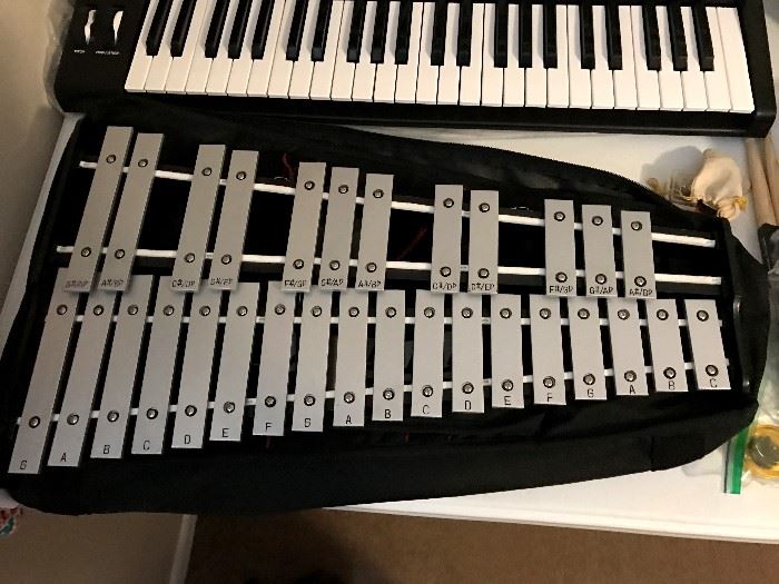 Large Xylophone with case