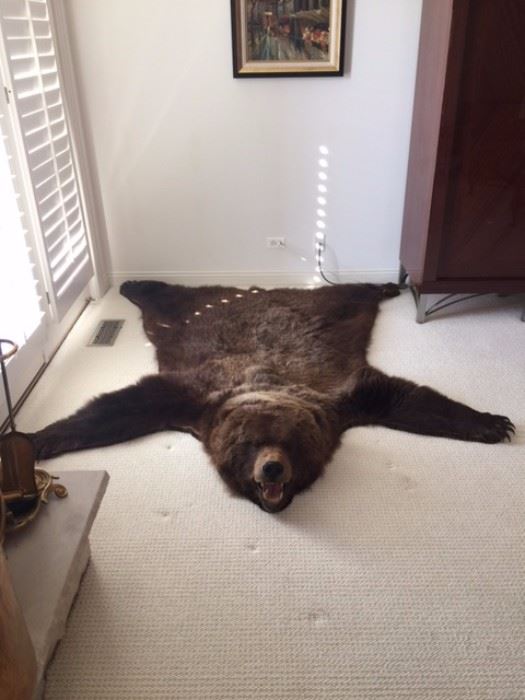 BEAR RUG APPROX 77 INCHES FROM NOSE TO TAIL  