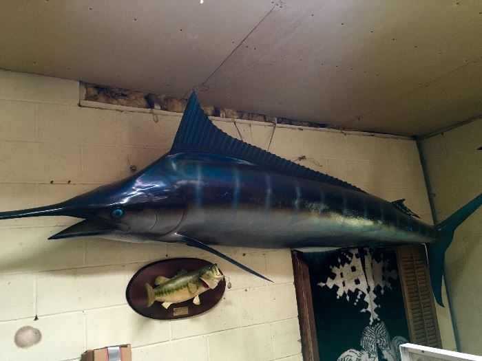 Giant Fiberglass Fish