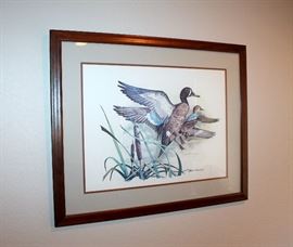 Large framed ducks print