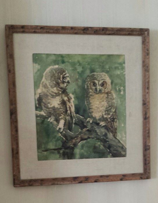 Water color Owls