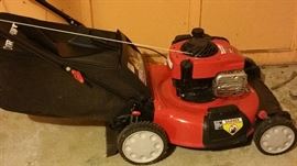 Lawn mower with bag