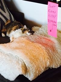 $1MM for Billy Goat and that's a bargain.  Final Markdown to $750K