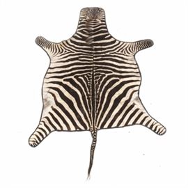Genuine Zebra Hide Rug: A genuine zebra hide rug. The piece is lined in black and not marked. The rug includes the ears, mane and tail.