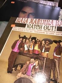 VINYL RECORDS