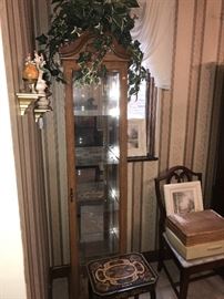 SLIM CHINA CABINET-CURIO-DISPLAY SHELF