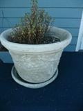 CONCRETE OUTDOOR POTS